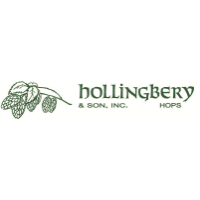 Hollingbery Logo